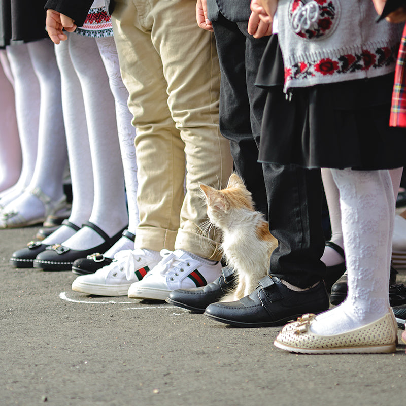 Dress Shoes