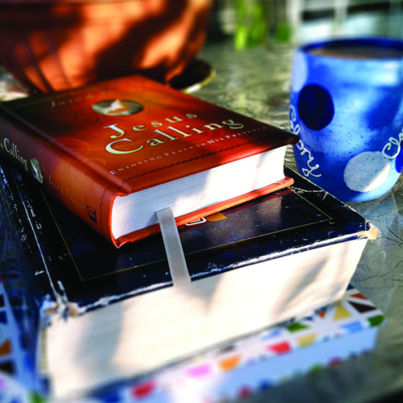 Bible and Discipleship Materials (Young Life)