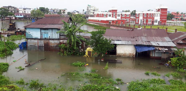 LCD Projectors (Nepal)